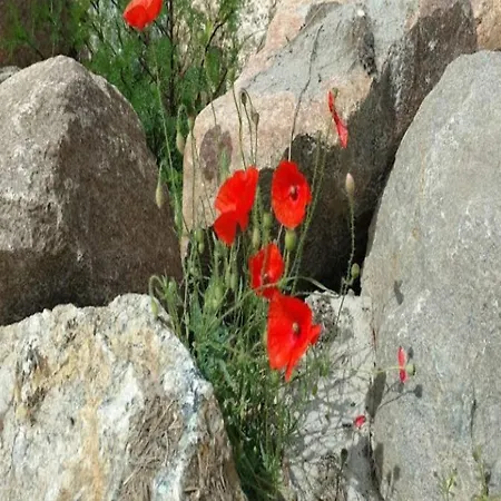 6 Person In Rudkobing-by Traum Сasa de vacaciones